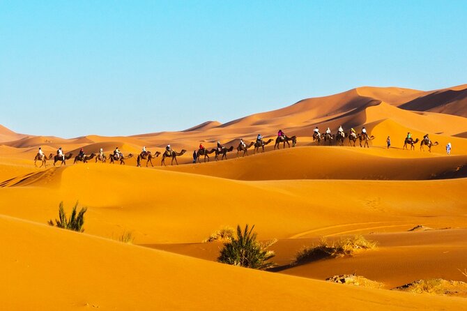 Merzouga Orange Dunes ATV Sandsurf Camels With 5 Stars Dinner - Dining Experience