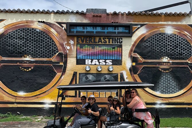 Miamis Best Graffiti Guide - VIP Golf Cart Tour - 2-5 Ppl - Meeting and Pickup Details