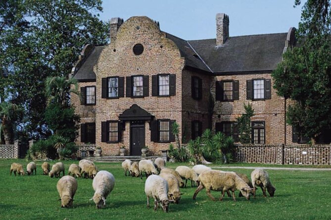Middleton Place Plantation - 3 Hour Guided Tour - Hotel Pickup - Highlights of Middleton Place