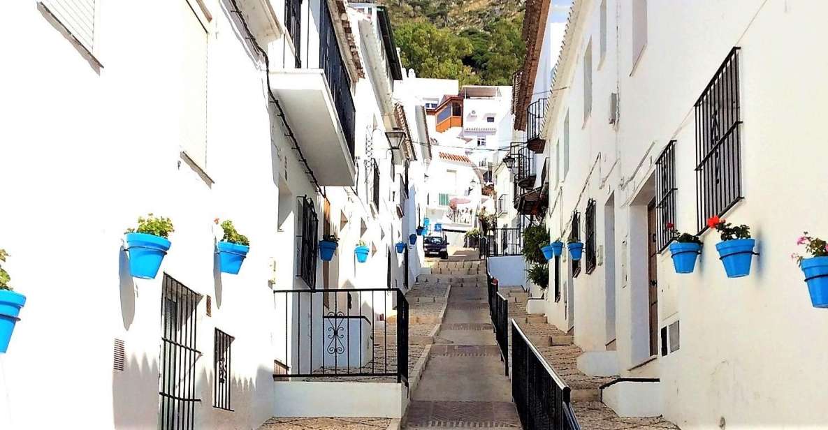 Mijas: Group Walking Tour - Experience Highlights