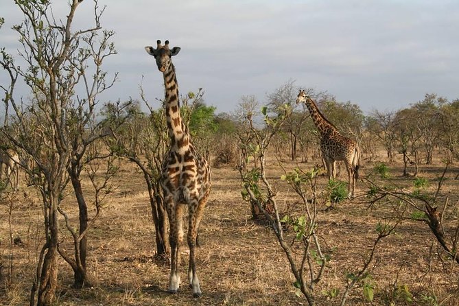 MIKUMI NATIONAL PARK - 3 Days - Travel Itinerary Overview