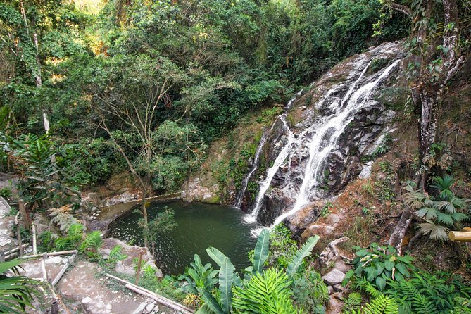 Minca Day-Trip and Coffee Farm Visit From Santa Marta - Itinerary and Activities