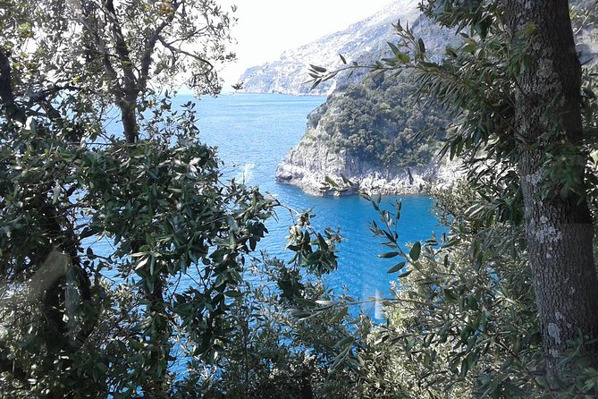 Minivan Tour | Amalfi Ravello and Pompeii With Driver - Scenic Minivan Experience