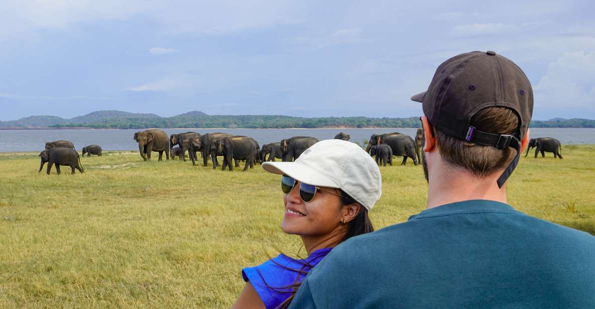 Minneriya National Park Half Day Sri Lanka Jeep Safari - Itinerary and Experience