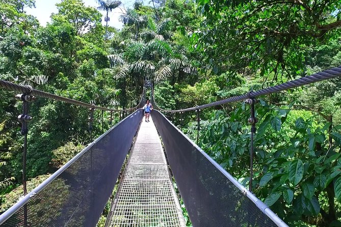 Mistico Hanging Bridges Admission Ticket - Exploring Suspension Bridges