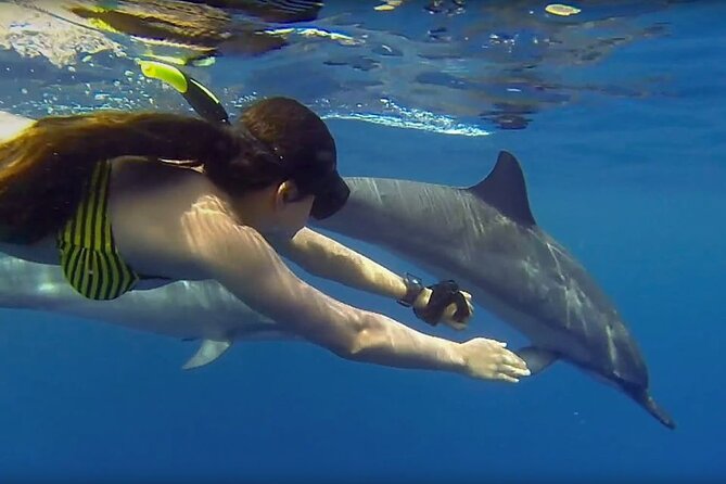 Mnemba Snorkeling, Dolphin and Baraka Natural Aquarium - Pickup Information