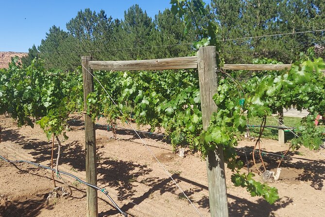 Moab Back Roads, History and Winery E-Bike Tour - Inclusions and What to Expect