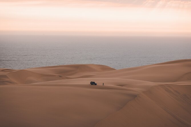 Mola Mola Marine Dune Experience - Sandwich Harbour Excursion