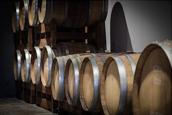 Monferrato (Asti): Wine Tour With Light Lunch Picnic in the Vineyards - Tour Highlights