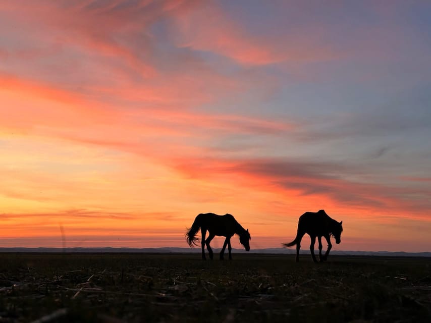 Mongolia: Horse Riding Camp-Grassland Crossing|Customizable - Experience and Highlights