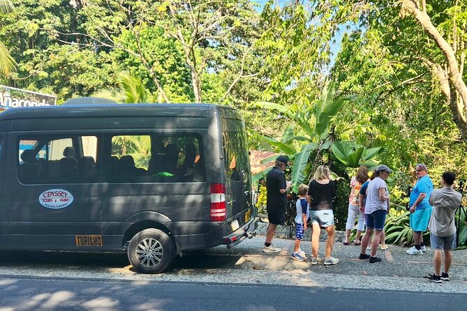 Monkey Mangrove Tour - Transportation and Accessibility