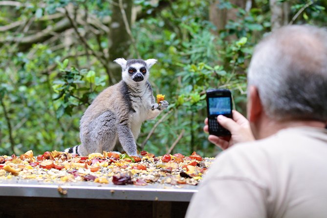 Monkeyland Guided Tour in Plettenberg Bay - Tour Highlights