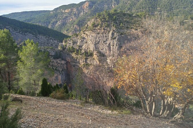 Montanejos Village Thermal Springs and Hiking Tour  - Valencia - Confirmation and Accessibility