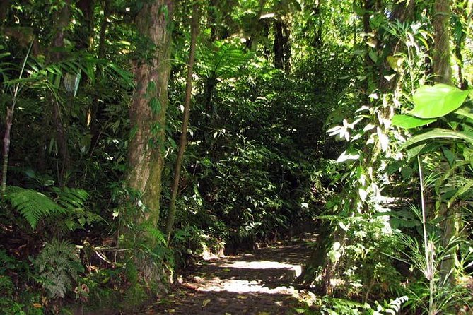 Monteverde Cloud Forest Hanging Bridges - Meeting and Pickup Information