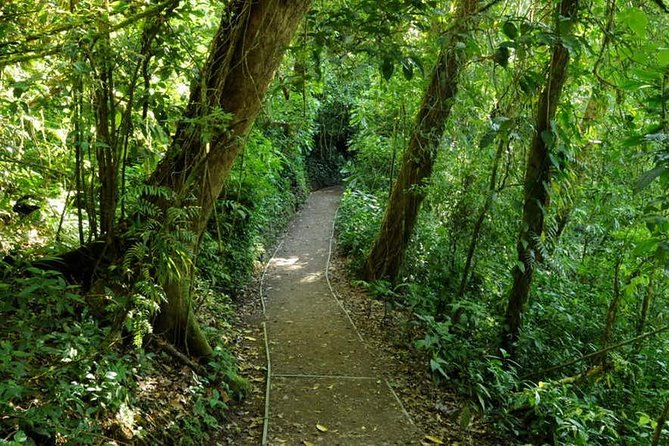 Monteverde Cloud Forest Reserve Guided Walk - Tour Inclusions