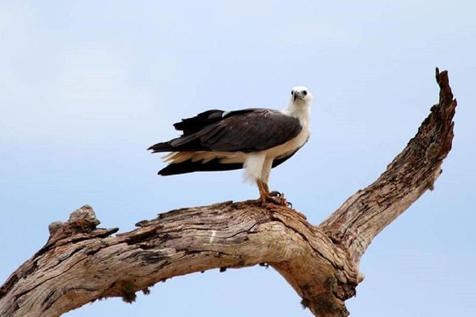 Morning 07 Hour Private Safari at Yala National Park by Yala La Safari Tours - Safari Itinerary and Schedule