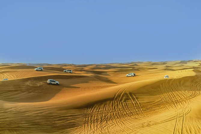 Morning Desert Safari In Abu Dhabi - Included Activities