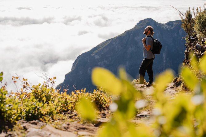 Morning Self-Guided Hike Pico Arieiro to Pico Ruivo W/ Transfers - Transportation and Logistics