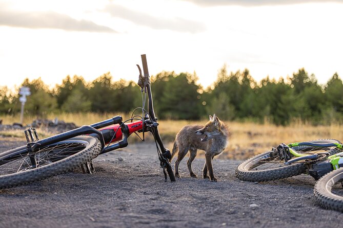 Mount Etna: All Around on E-Bike - Inclusion and Equipment