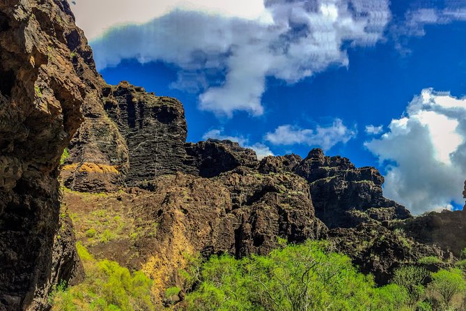 Mount Teide and Teno Country Park Private Tour - Highlights of the Tour