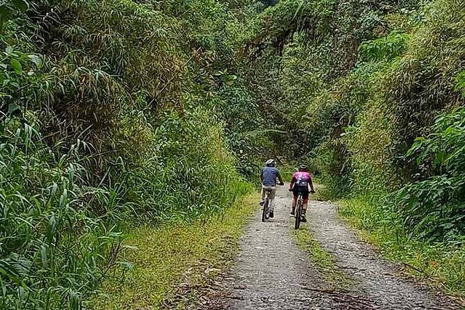 Mountain Bike: Quito to Mindo Cloud Forest - Full Day - Itinerary Highlights