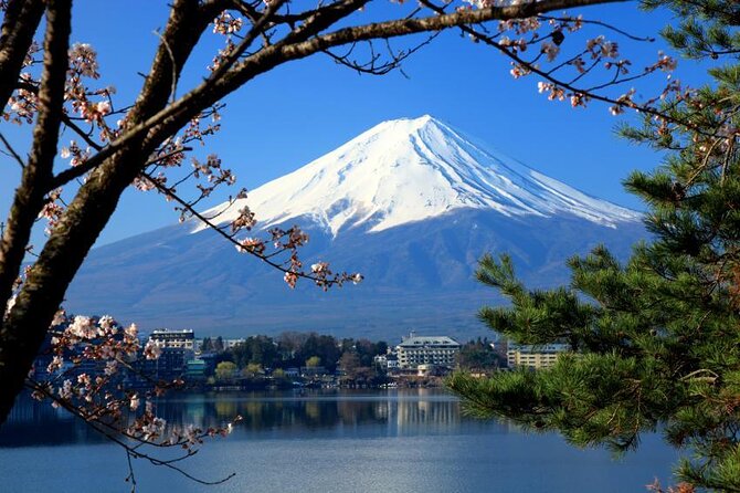 Mt. Fuji & Lake Kawaguchiko Private 1 Day Tour With Pick & Drop - Transportation Details