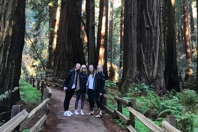 Muir Giant Redwood Trees 3 Hour Private Tour W Golden Gate Bridge - Transportation Details