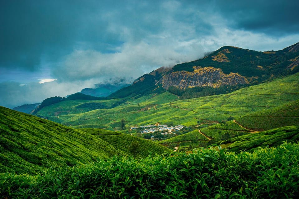 Munnar Day Return Excursion Ex Kochi Covering All Essentials - Itinerary and Highlights