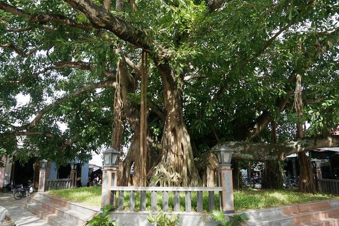 My Son Sanctuary Private Countryside Jeep Tour - Itinerary and Duration