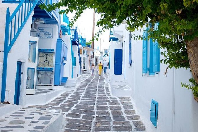 Mykonos Town and Island Half-Day Tour - Meeting and Pickup Details