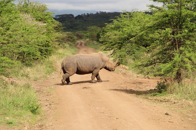 Nairobi National Park Private Safari - Pickup and Scheduling Details
