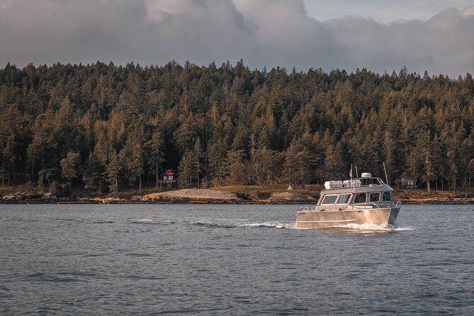 Nanaimo Whale Watching in a Semi-Covered Boat - Features of the Semi-Covered Vessel