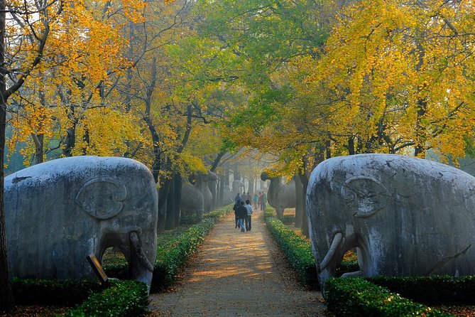 Nanjing Private English Tour Guide Service - Customizable Itinerary Options
