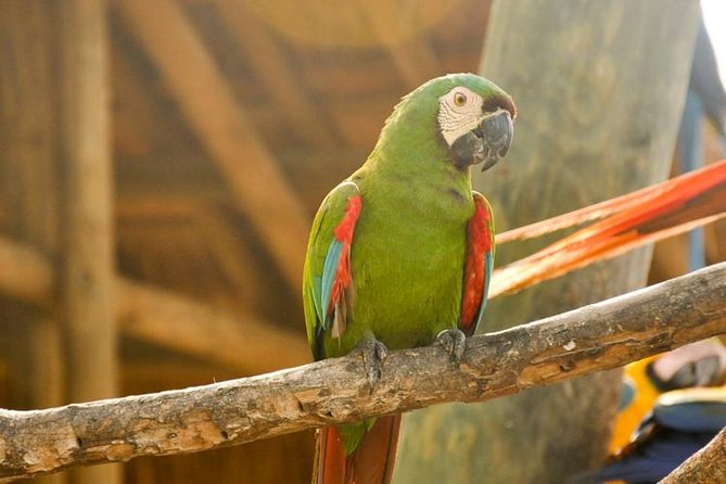 National Aviary Private From Cartagena - Transportation and Accessibility