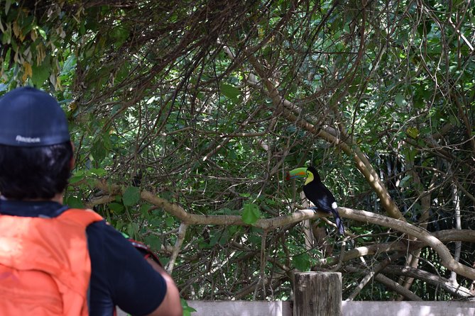 National Aviary - Ecosystem Environments and Exhibits