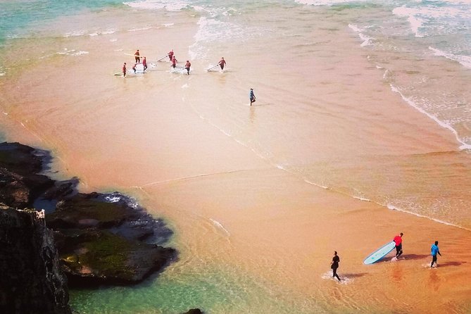 National Park West Coast Half Day Tour From Lagos - What to Expect
