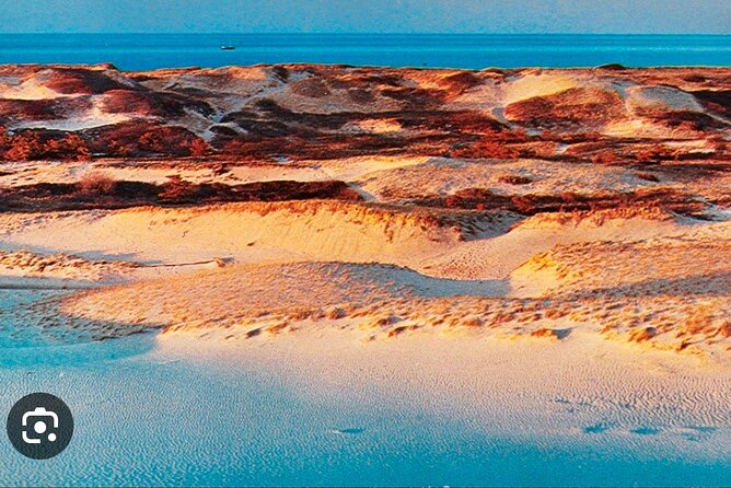 National Seashore Tour With Guided Hike - Pickup Information