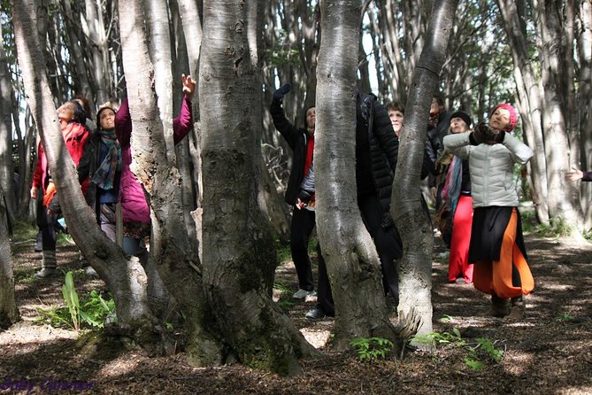 Naturaldanza Dance in Nature - Natural Settings and Conditions