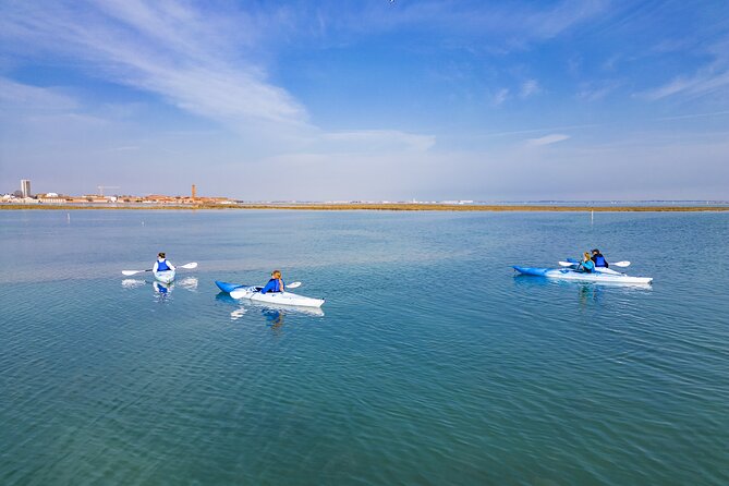 Nature Kayak Tour: Exploring Europe's Largest Lagoon - Paddling Skill Level