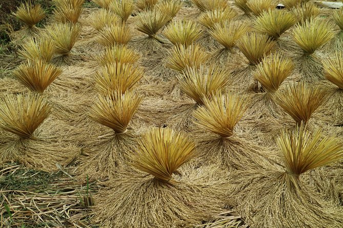 Natures Healing Bandung Country Side - Tour Inclusions and Amenities
