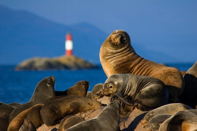 Navigation Beagle Channel Isla De Lobos - Booking Details