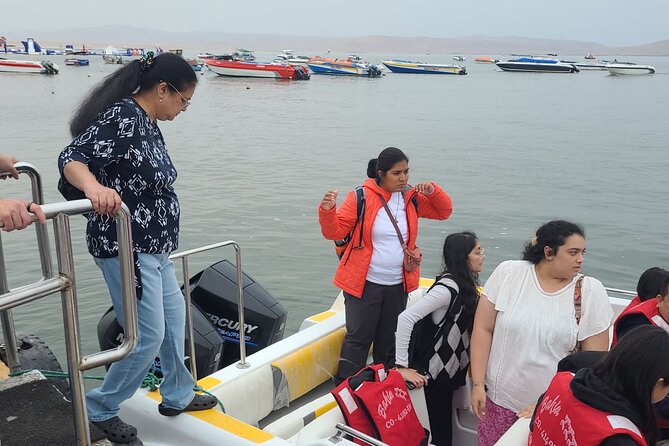 Nazca Lines and Ballestas Islands Full Day - Itinerary Highlights