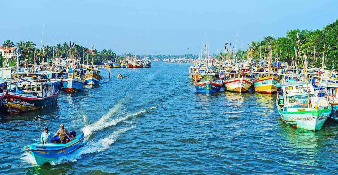 Negombo: Dutch Canal, Negombo Lagoon, Muthrajawela Boat Tour - Pricing and Inclusions