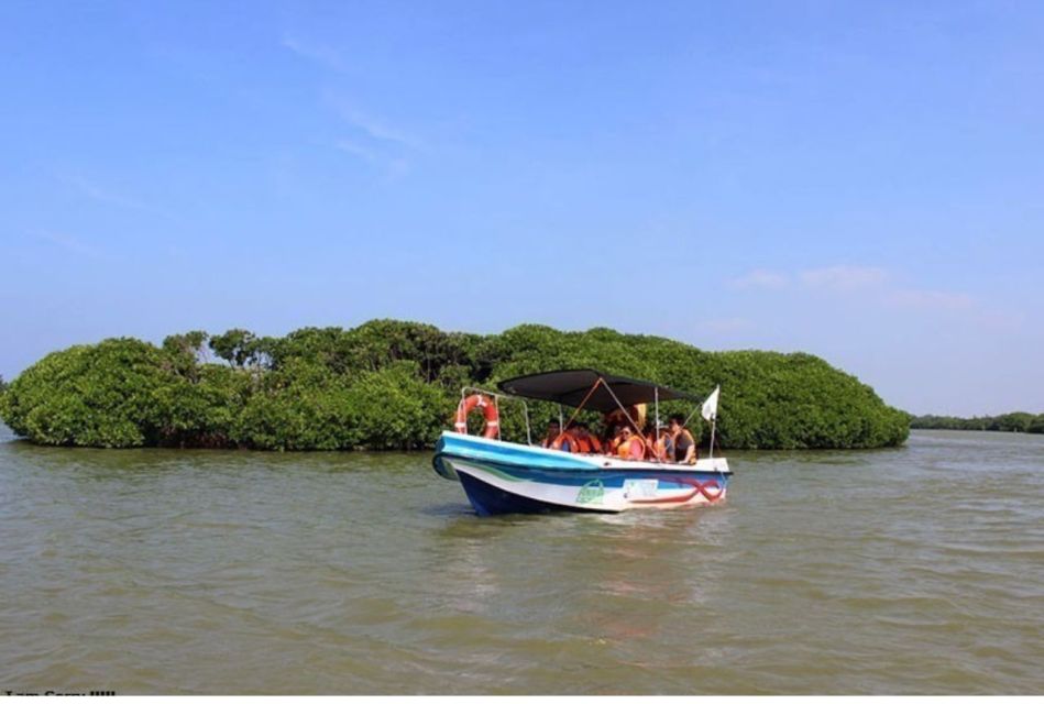 Negombo: Muthurajawela Wetland & Dutch Canal Boat Adventure - Itinerary and Activities