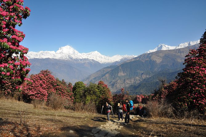 Nepal Round Tour With Annapurna Trek 14 Days - Detailed Itinerary