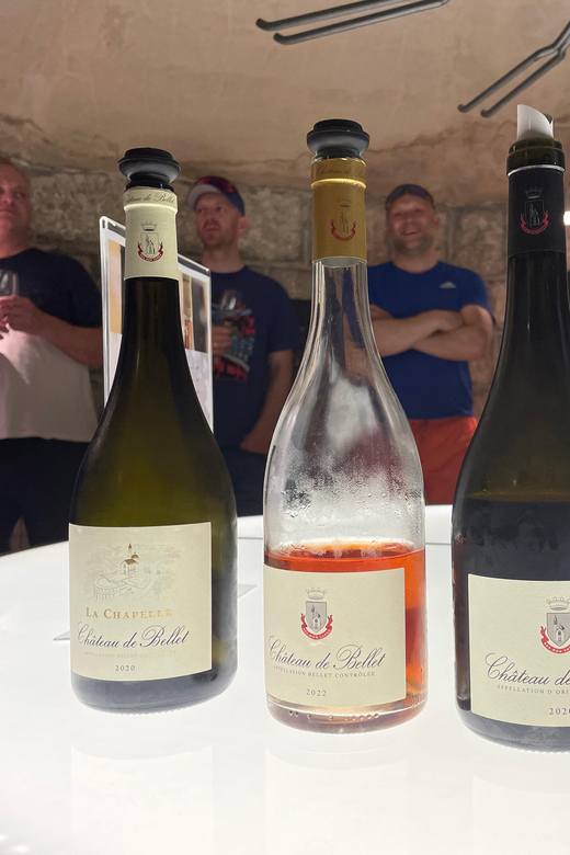 Nice: Bellet Vineyards E-Bike Tour With Wine Tasting - Tour Description