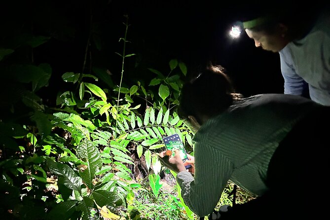 Night Hiking Tour at the Gandoca Manzanillo Mixed Refuge - What to Expect During the Hike
