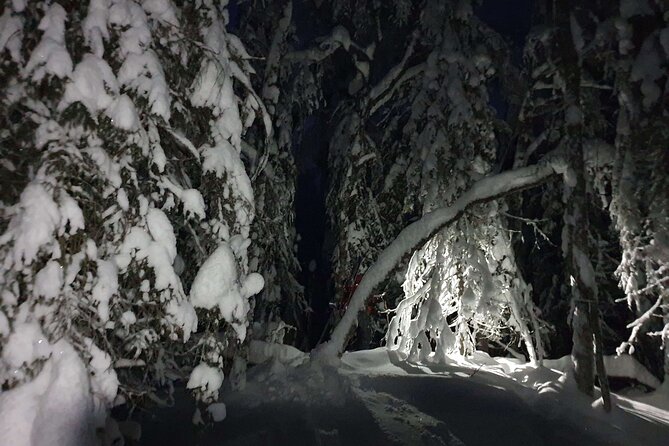 Night Time Ski Tour With Northern Lights Potential - Pickup and Meeting Logistics