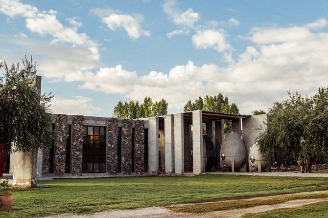 Night Visit to Los Toneles Winery + Dinner at El Enemigo. Transportation Included - Included Features