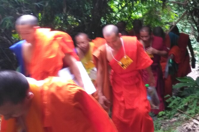 No.1 Chiang Mai: 3-Hour Monk Trail Hike to Wat Doi Suthep & Palad - Scenic Highlights